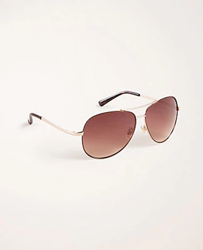 Shop Ann Taylor Aviator Sunglasses In Gold