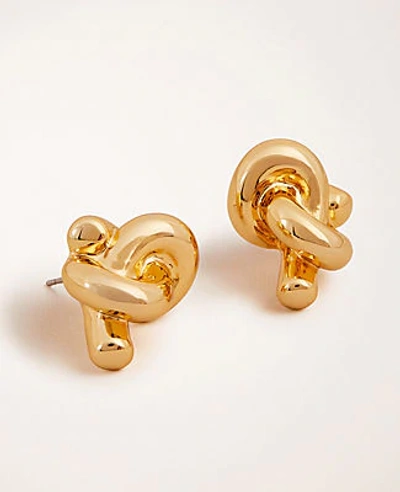 Shop Ann Taylor Knot Stud Earrings In Gold