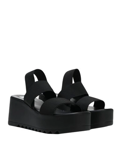 Steve Madden Sandals In Black