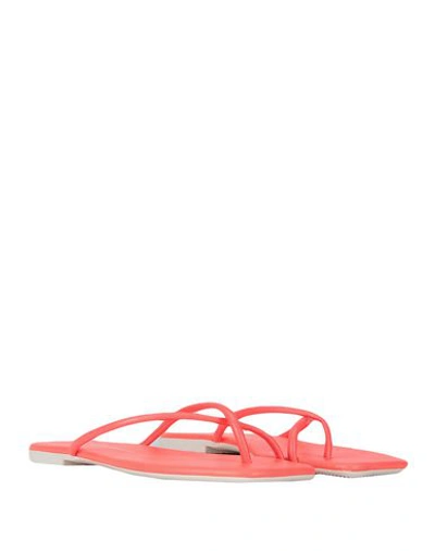 Shop Dolce Vita Toe Strap Sandals In Coral