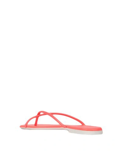 Shop Dolce Vita Toe Strap Sandals In Coral