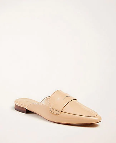 Shop Ann Taylor Geraldine Patent Leather Loafer Slides In Golden Beige