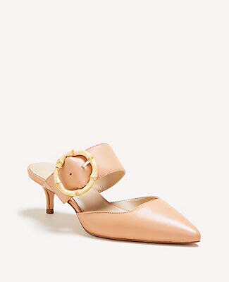 ann taylor mules