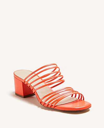 Shop Ann Taylor Adalina Leather Block Heel Sandals In Jupiter Orange