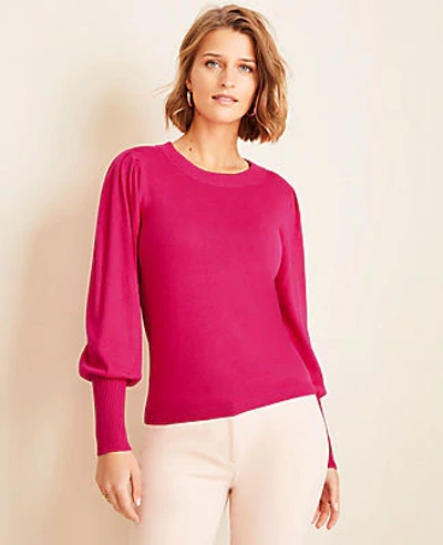 Shop Ann Taylor Balloon Sleeve Sweater In Fair Fuchsia