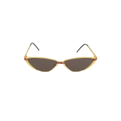Shop Gianfranco Ferre Sunglasses 149 In Grey