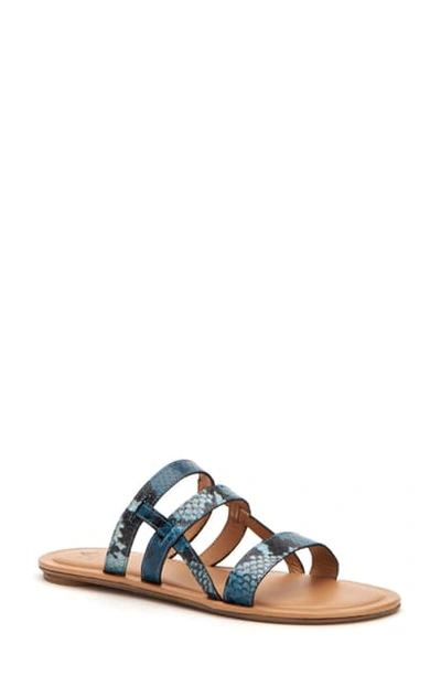 Shop Aquatalia Abigayle Sandal In Ocean