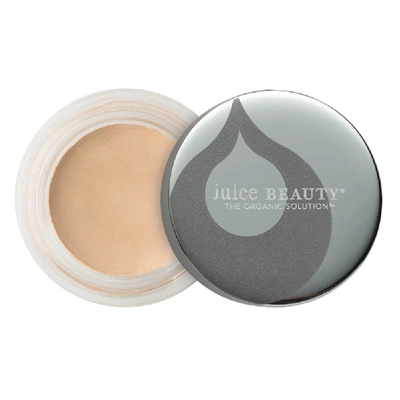 Shop Juice Beauty Phyto-pigments Perfecting Concealer In Cream