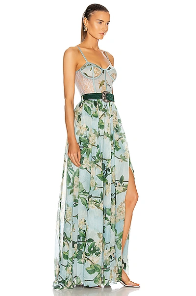 Shop Patbo Floral Bustier Belted Maxi Dress In Sky