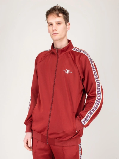 daily track suit |
