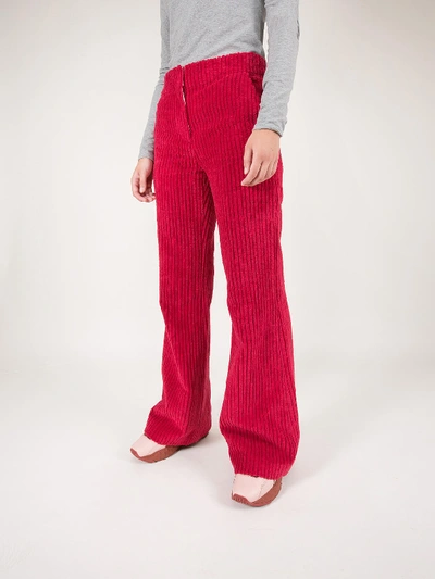 Shop Acne Studios Fluffy Corduroy Pants Fuchsia/pink In Pink & Purple