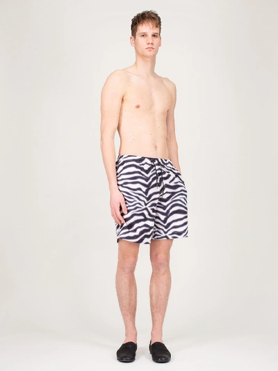 Shop Daily Paper Hali Swimshort Zebra In Mixed