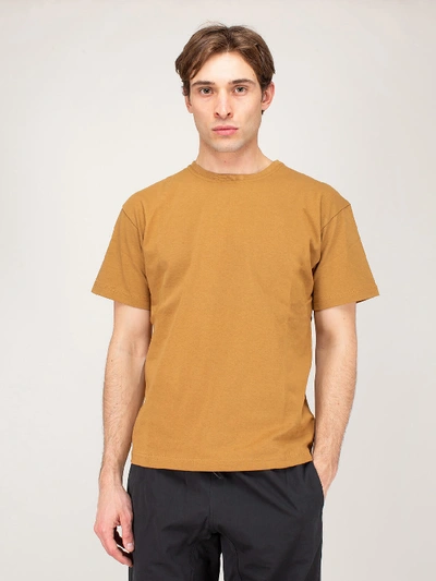 Shop Bottega Veneta T-shirt Tan In Brown