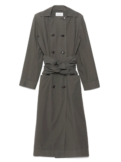 Shop Lemaire Dress Coat In Green