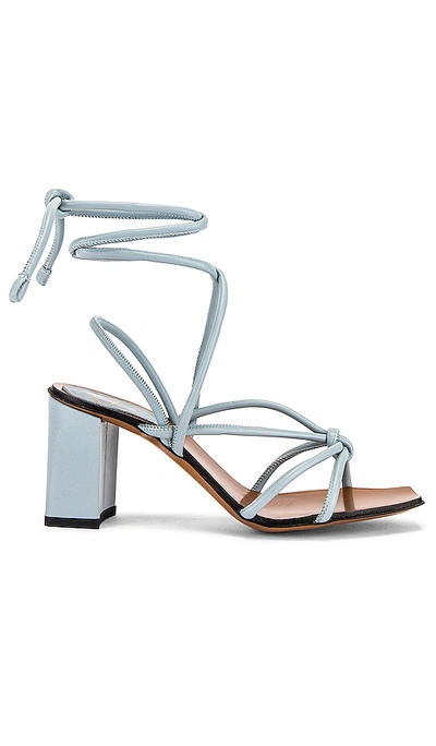 Shop Atp Atelier Andria Strappy Sandal In Light Blue