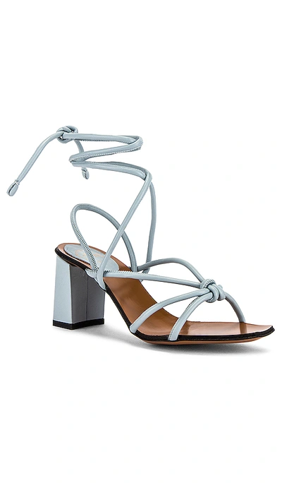 Shop Atp Atelier Andria Strappy Sandal In Light Blue