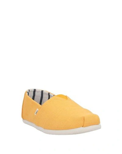 Shop Toms Sneakers In Ocher