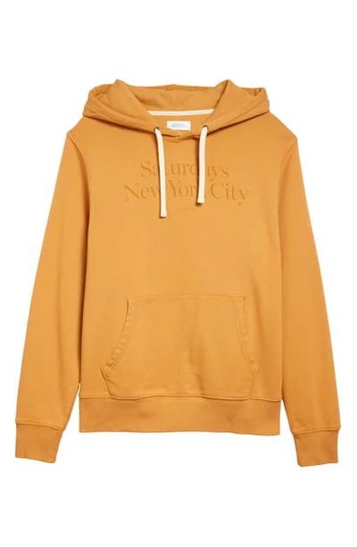 Shop Saturdays Surf Nyc Ditch Miller Embroidered Logo Hoodie In Rust