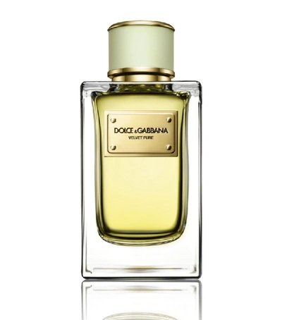 Shop Dolce & Gabbana Velvet Pure Eau De Parfum (150ml) In White
