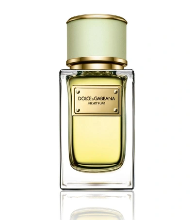 Shop Dolce & Gabbana Velvet Pure Eau De Parfum (50ml) In White