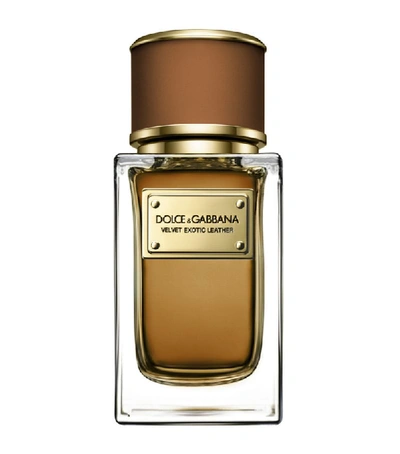 Shop Dolce & Gabbana Velvet Exotic Leather Eau De Parfum (50 Ml) In White
