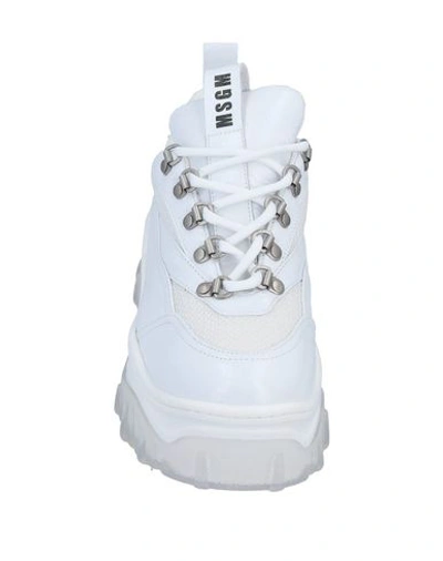 Shop Msgm Sneakers In White