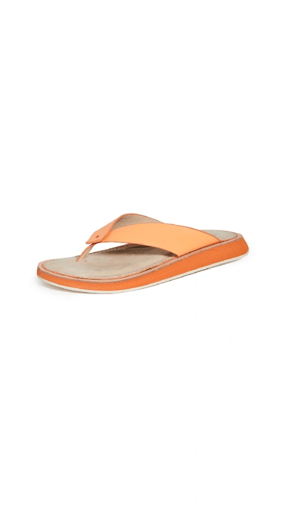 Shop Rag & Bone Parker Thong Sandals In Tangerine