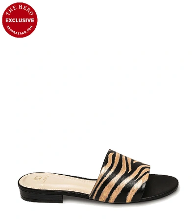 Shop Alepel Shopbazaar Zebra Black Slide In Multi