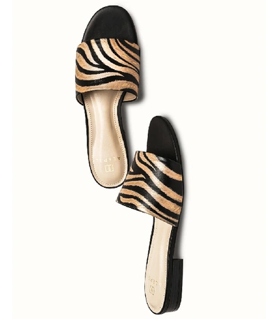 Shop Alepel Shopbazaar Zebra Black Slide In Multi