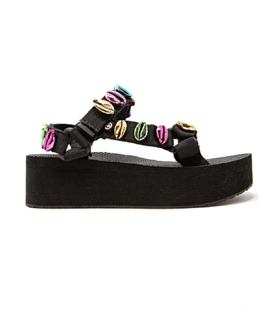 Shop Arizona Love Trekky Platform Shell Sandal In Black