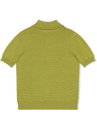 Shop Gucci Striped Knitted Polo Shirt In Green