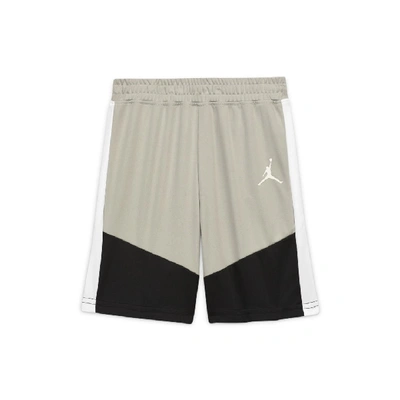 Shop Jordan Dri-fit Toddler Shorts In Grey
