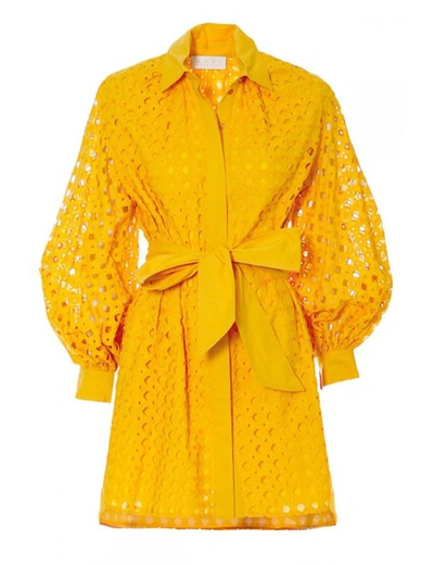 Shop Aggi Dress Mona Sunflower In Yellow