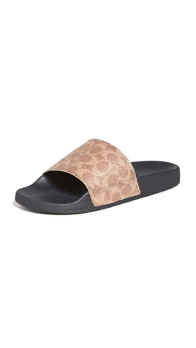 Shop Coach Signature Coated Canvas Pool Slides In Khaki Signature