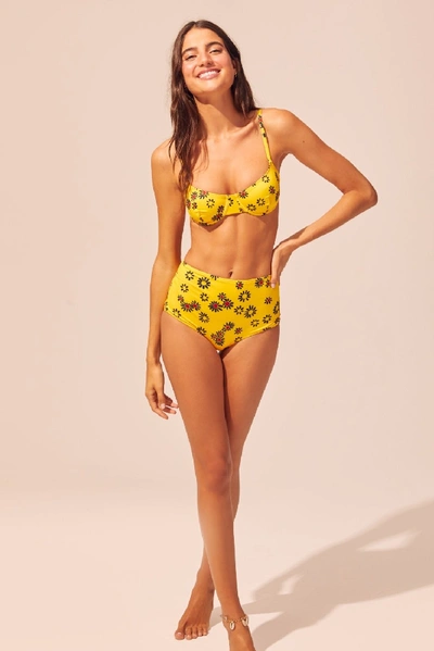 Shop Solid & Striped The Ginger Bikini Bottom In Yellow Daisy