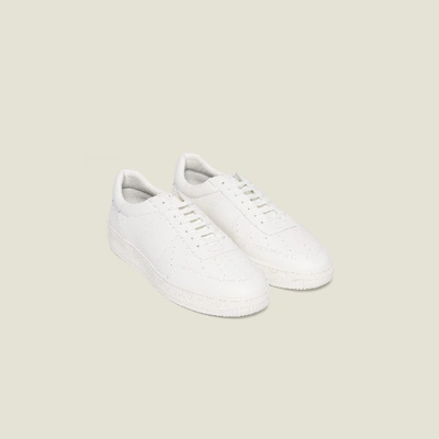 Shop Sandro Plain Leather Sneakers In White