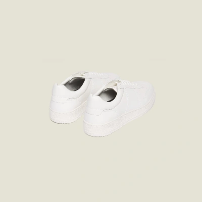 Shop Sandro Plain Leather Sneakers In White