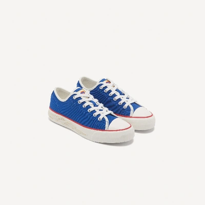 Shop Sandro Canvas Sneakers With Flame Sole In Blue