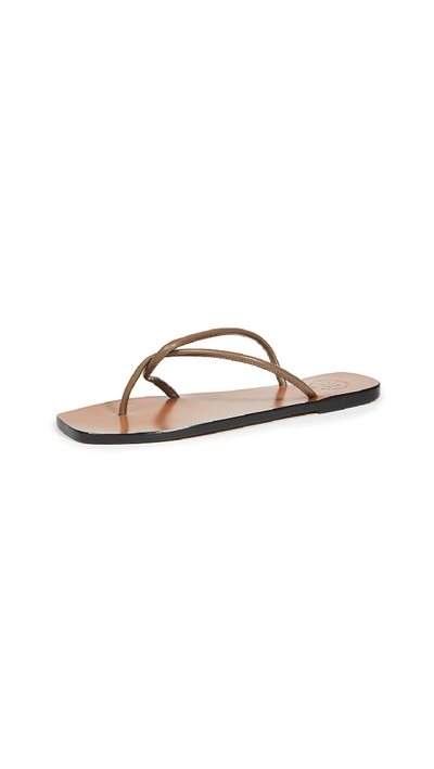 Shop Atp Atelier Alessano Thong Sandals In Khaki Brown