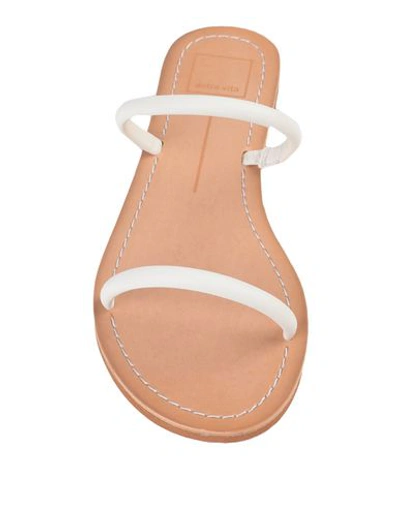 Shop Dolce Vita Sandals In White