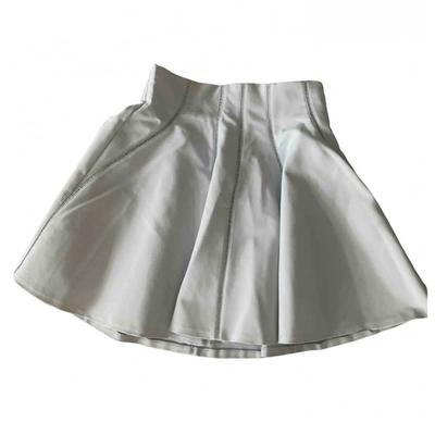 Pre-owned Miu Miu Mini Skirt In Other