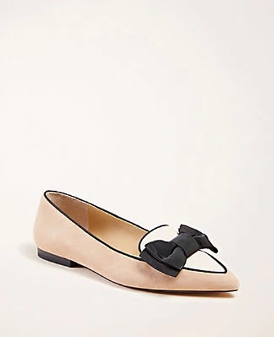 Shop Ann Taylor Tiggy Suede Bow Flats In Posh Camel