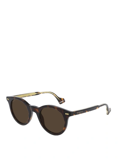 Shop Gucci Tortoiseshell Round Sunglasses In Brown