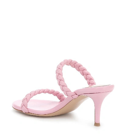 Shop Gianvito Rossi Marley 70 Braided Leather Sandals In Pink