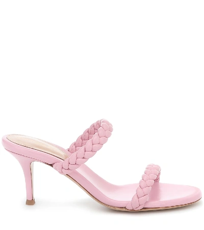 Shop Gianvito Rossi Marley 70 Braided Leather Sandals In Pink
