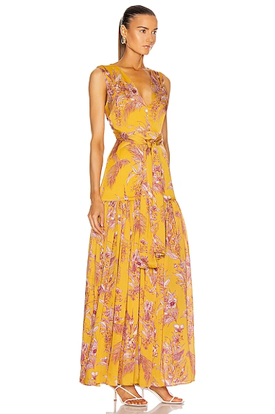 Shop Alexis Belaya Dress In Tuscan Palm