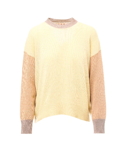 Shop Marni Sweater In Yellow