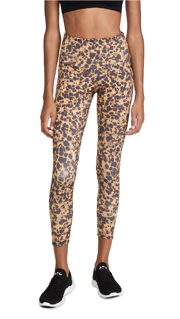 onzie leggings
