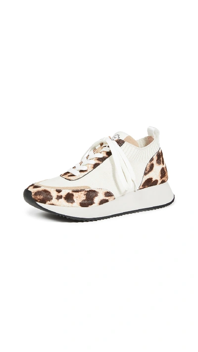 Shop Loeffler Randall Remi Lace Up Sneakers In Mocha Leopard