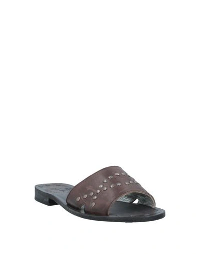 Shop Fiorentini + Baker Sandals In Dark Brown